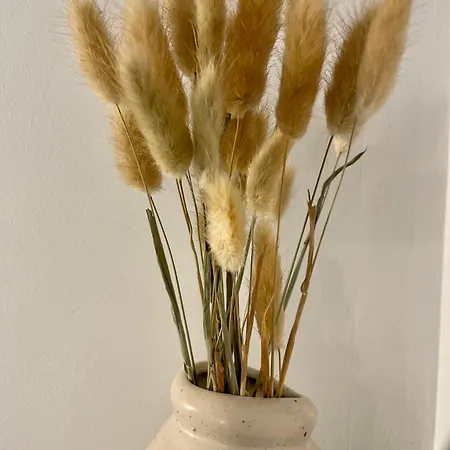 Hypercentre - Beau T2 - Gare Flandres - Vida Loc